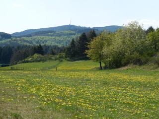 Cosy holiday home with garden - Medebach - 3