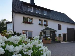 Modern holiday home idyllic setting with terrace - Medebach - 7