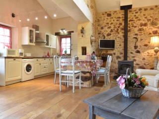 Luxury house in Aquitaine with swimming pool - Saint-Avit-Rivière - 2