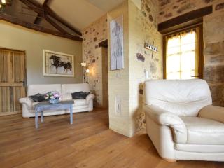 Luxury house in Aquitaine with swimming pool - Saint-Avit-Rivière - 1