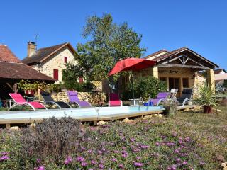 Luxury house in Aquitaine with swimming pool - Saint-Avit-Rivière - 5
