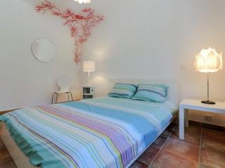 Villa in Vidauban with Private Pool - Vidauban - 1