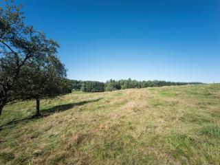 Holiday home with private terrace - Girmont-Val-dʼAjol - 3