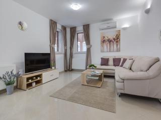 Spacious Holiday Home with Swimming Pool - Ražanac - 3