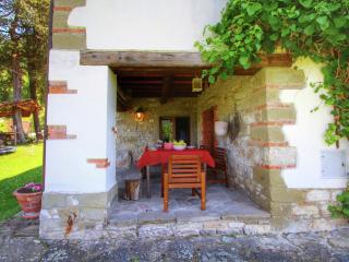 Farmhouse in Tuscany with Teggina Valley View - Castel Focognano - 3