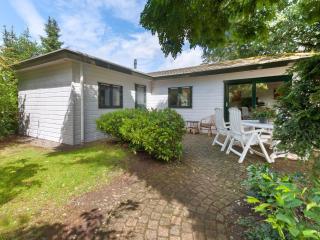 Tasteful chalet near Ommen for family - Stegeren - 0