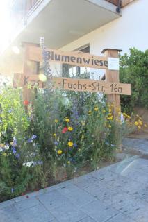 Ferienwohnungen "Blumenwiese" - Dilinga - 7