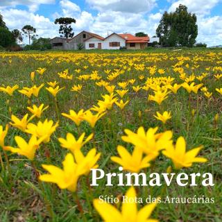 Sítio Rota das Araucárias - Urupema - 3