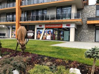 Apartman Lucid C207 - Starý Smokovec - 7