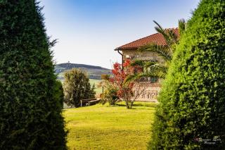 Bio Fattoria Il Poggiarello - 4