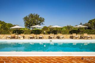 Bio Fattoria Il Poggiarello - 1