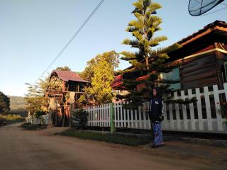 Maan Mork Khao Kho - Khao Kho - 3