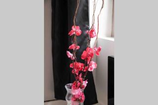 Charme & Cocooning : Belle Vue sur la Loire - Blois - 7