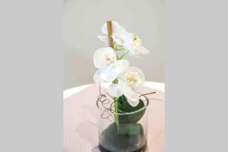 Charme & Cocooning : Belle Vue sur la Loire - Blois - 6