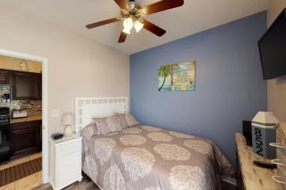 Palm Tree Paradise - Myrtle Beach - 2