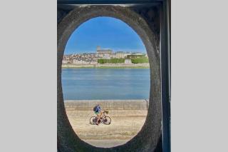 Elégance Art Déco en bord de Loire - Blois - 3