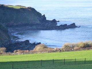 The Sandrock Lynton - Lynton - 1
