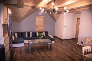 Red Pine Apartments - Vlachovice - 5