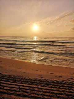 White luxury apartment - Arenales del Sol - 8