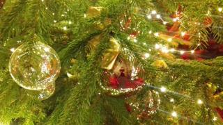 Luxury House B&B - 9