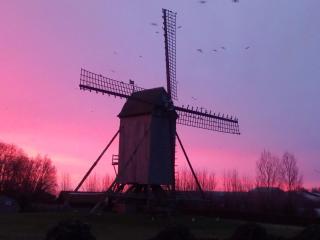 Vakantiehuis Louiselotte - Alveringem - 0