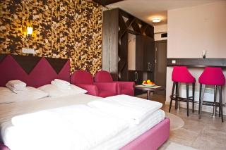 Apartman NERA - u Kraljevim čardacima Kopaonik - 4