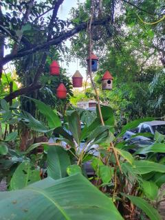 Pousada Guaiamum - 1