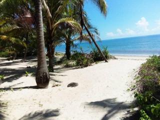 Embedodo Beach House, Ushongo beach, Pangani - 1