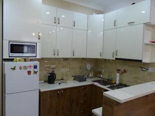 The Apartment for Comfortable Vacations in Tbilisi. - 4