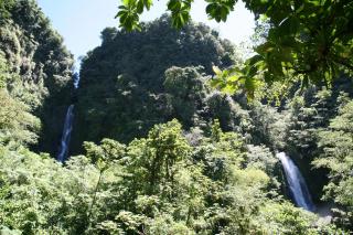 Natty Tropical Valley - Roseau - 6