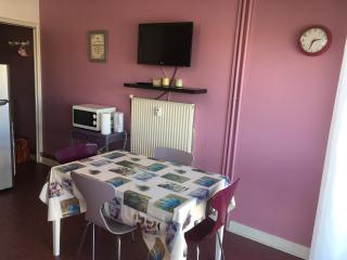 Studio meublé 28m2 vue côté Balaruc centre et massif de la Gardiole - Balaruc-les-Bains - 9