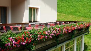Haus am Wildbach - Auffach - 7