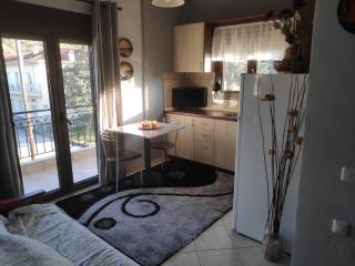 Forest View Apartments - Tríkala - 7