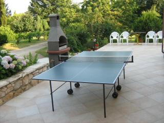 Apartments for families with children Vinez, Labin - 18493 - Labin - 5