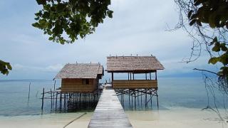 Erens Guest House - Waisai - 4
