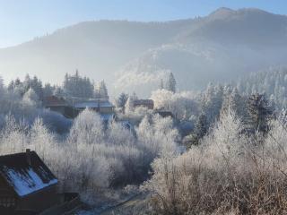 Strada Tiszás vacation house - Băile Tuşnad - 1