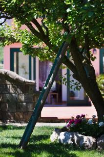 Villa Eugenia - Sant'Agnello - 3