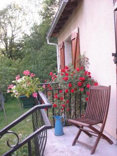 Le Moulin du Barthas - Montredon-Labessonnié - 3