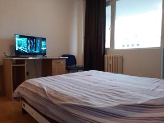 Ultracentral apartment bulevard regele mihai nr 10, sc a ap 16 - Timişoara - 3