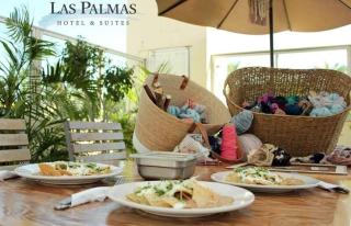 Suites Las Palmas - San José del Cabo - 2
