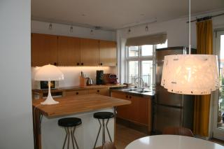 Copenhagen large Penthouse Apartment - Copenaghen - 9