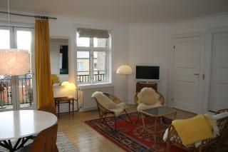 Copenhagen large Penthouse Apartment - Copenaghen - 7