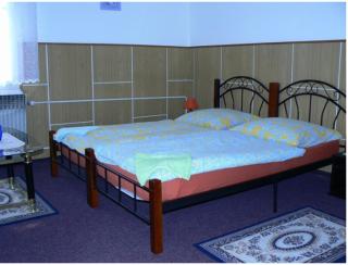 Restaurace a pension První Mlýn Chomutov - Chomutov - 5