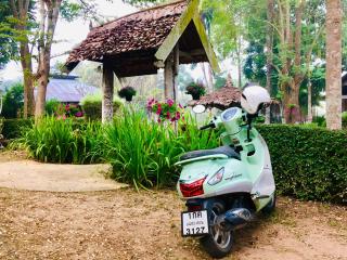 Vimarnkiri Resort - Pai - 2
