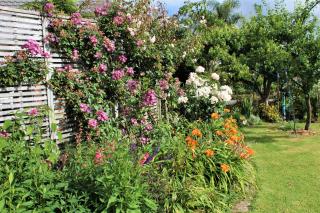 U Beauty - B & B - Whangarei - 4