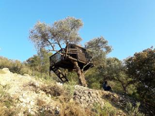 La Choza De Mamuyo - 2