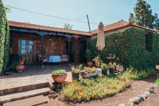Casa Palmera - 9