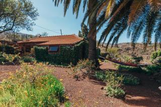 Casa Palmera - Puntagorda - 7