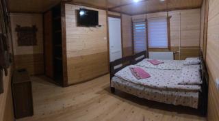 Guest house Dvir Pysanka - 1