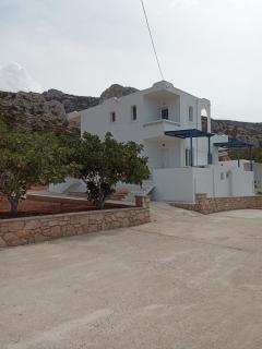 Albatros Studios & Apartments - Lefkos Karpathou - 1